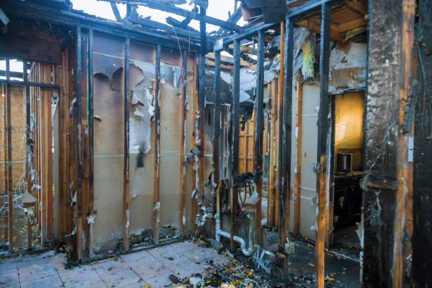 Professional Fire Damage Repair technician working in Riverdale, IL